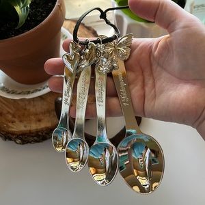 Pioneer Woman Silver Measuring Spoons